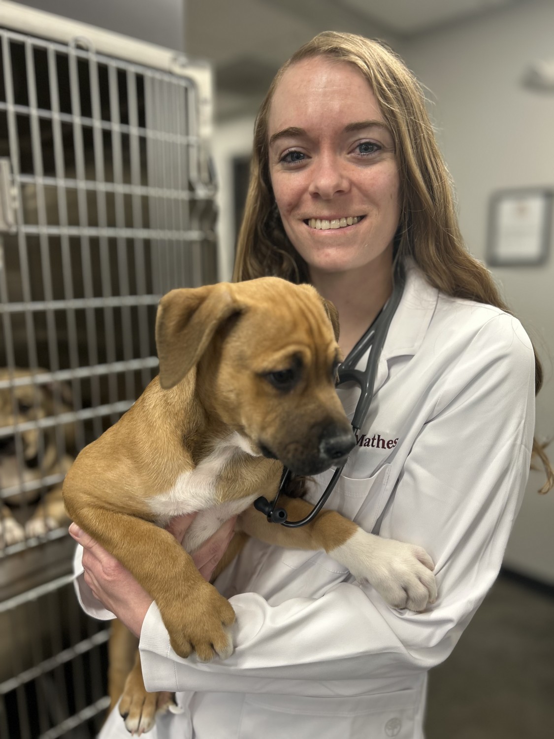 Dr. Kate Mathes